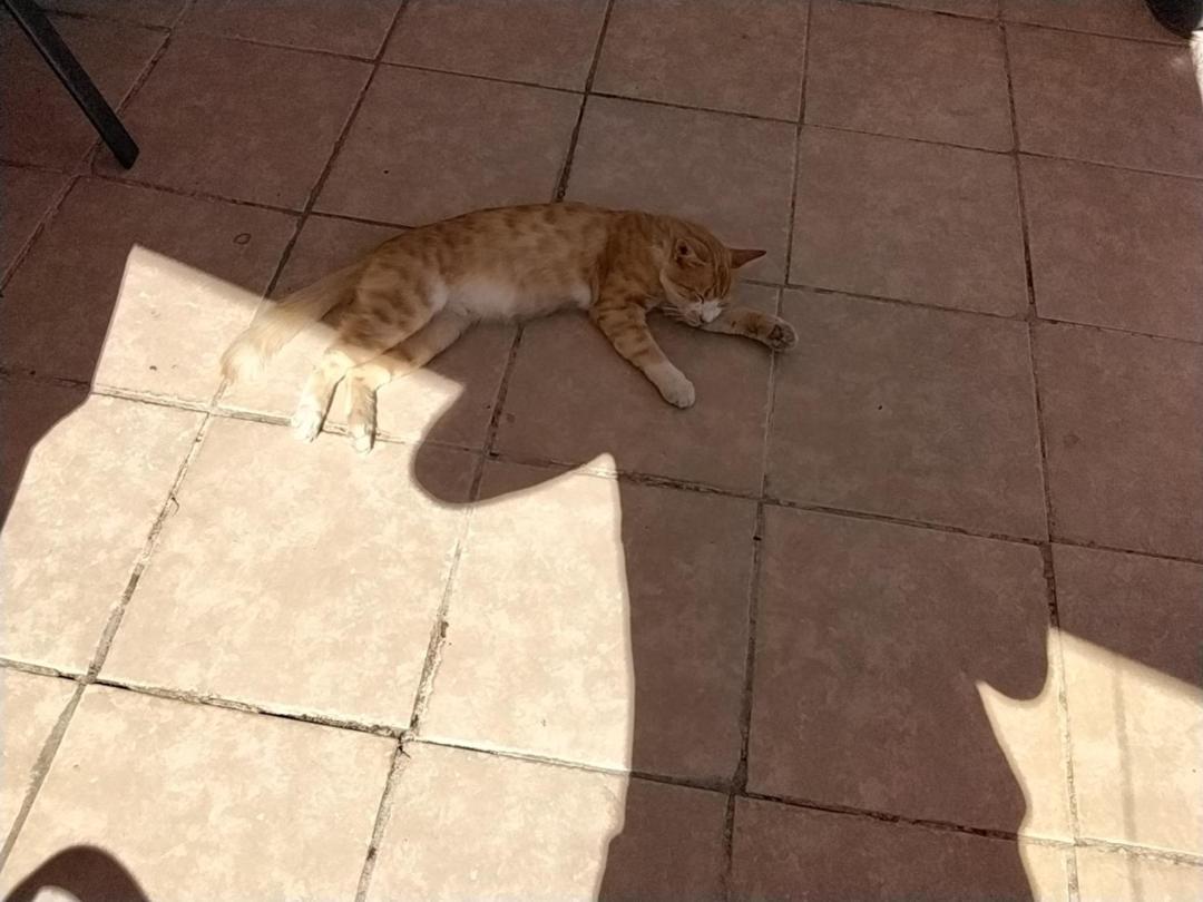 Ralloy Hoyse Sami (Kefalonia)